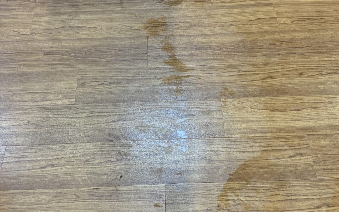 How to Deep Clean LVP Floors Without Damaging Them