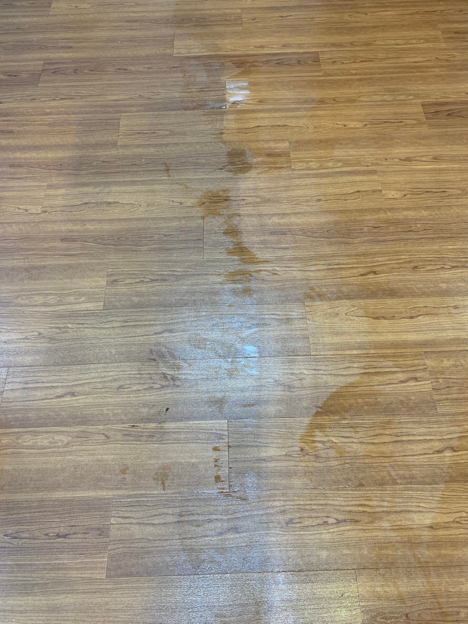 lvp cleaning