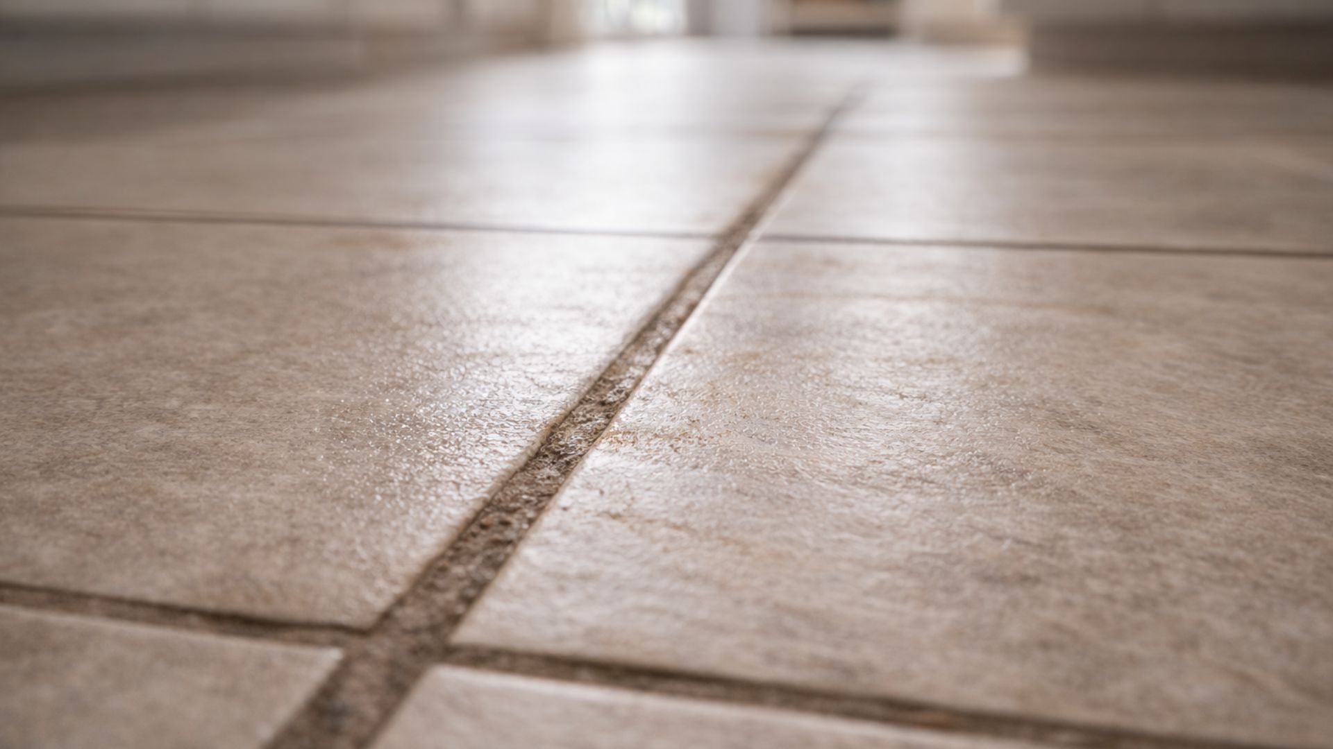 well-maintained floors can begin to look dirty