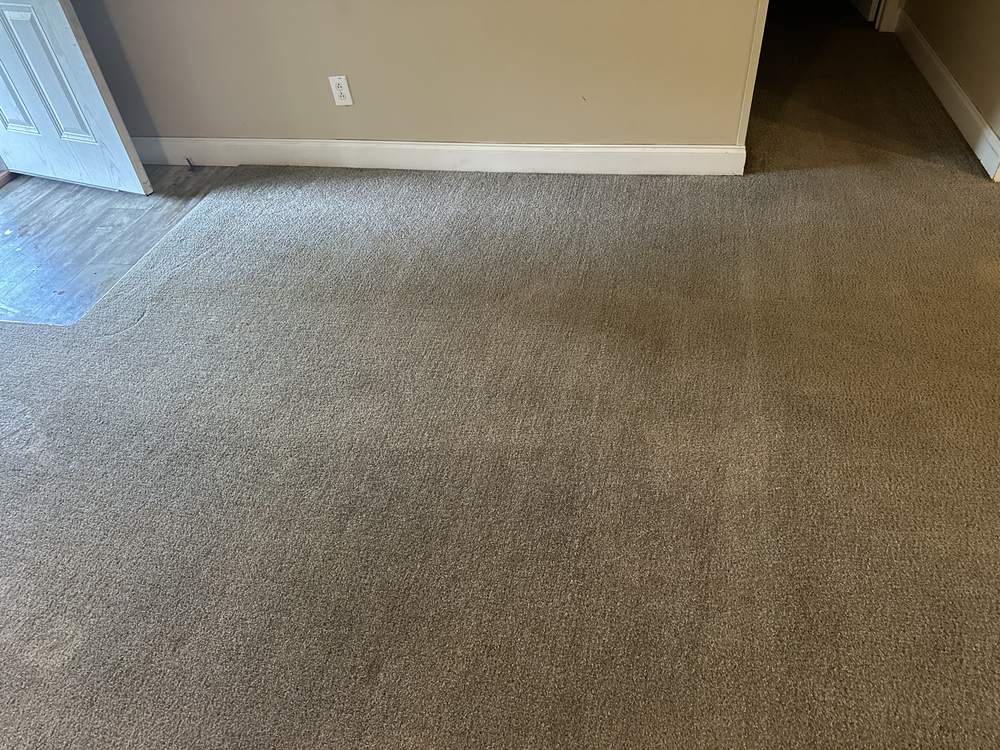 The same living room carpet after Elite's deep extraction cleaning, with the traffic lanes gone