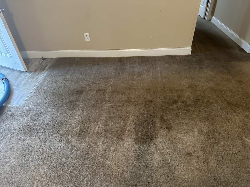 Living room carpet before cleaning, with dark gray traffic lanes worn into the walkway