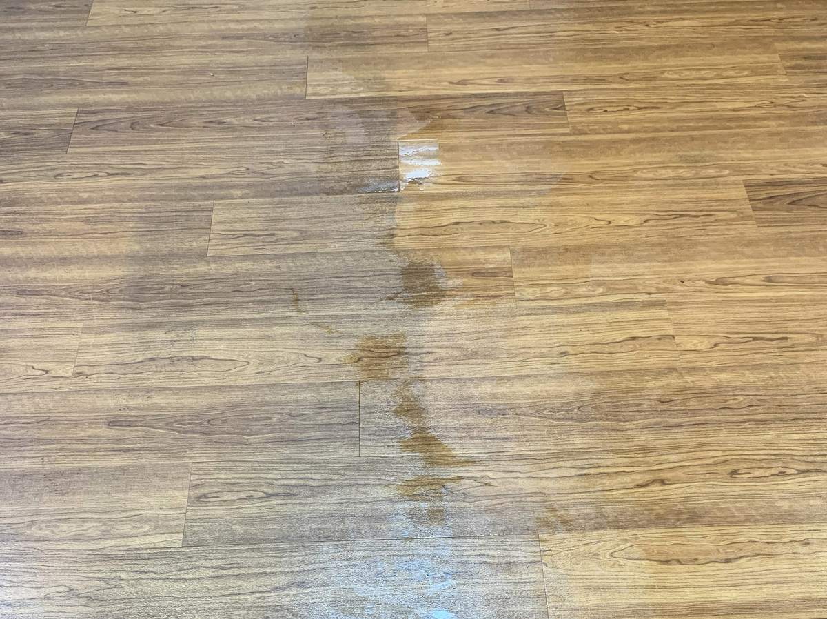 Luxury vinyl plank floor mid-clean, with dull, hazy planks on the left and a freshly cleaned, still-wet section on the right