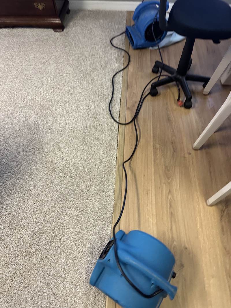 Air movers drying cleaned carpet - Elite Carpet, Tile & Grout Clean Two blue air movers drying a freshly cleaned carpet next to a wood floor