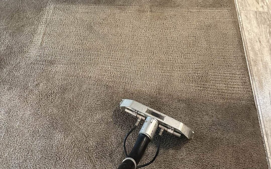 How Often Should You Deep-Clean Your Carpet?