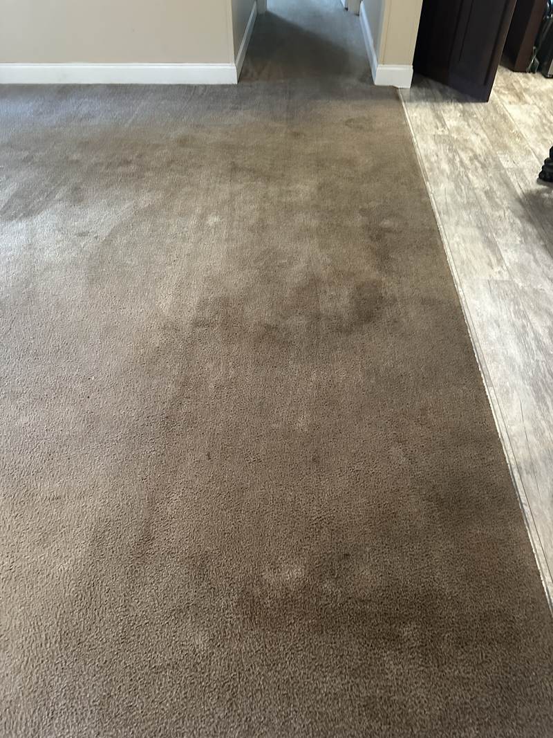 Gray traffic lane in hallway carpet - Elite Carpet, Tile & Grout Clean Hallway carpet with a gray, matted traffic lane worn down the middle before cleaning