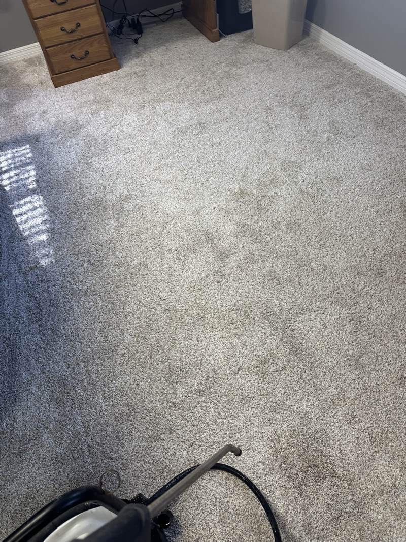 Pet-stained carpet during spot treatment, with the cleaning wand in the foreground